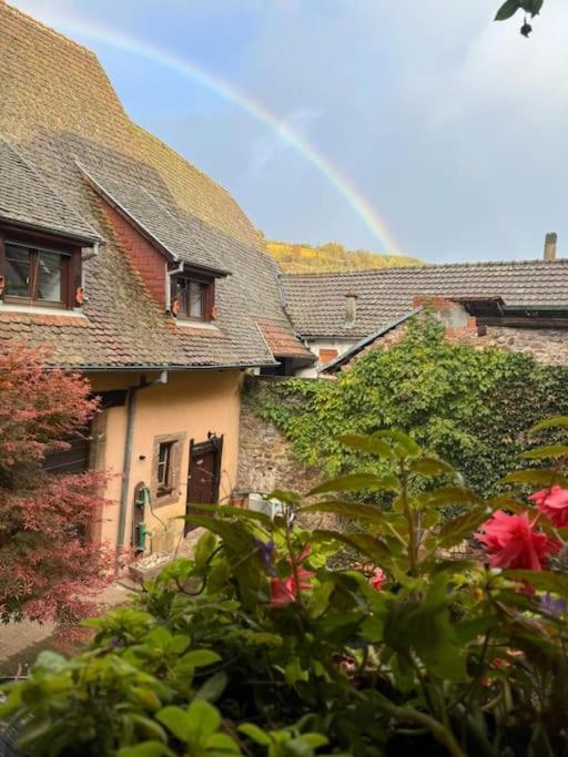 Entre Vignes Et Vergers Gite Parenthese Gueberschwihr Exterior foto